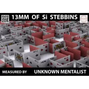 13Mm Of Si Stebbins by Unknown Mentalist