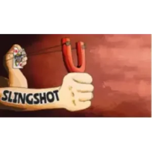The Slingshot by Joel Anthony