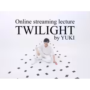Yuki Iwane – TWILIGHT ( Instant Download )