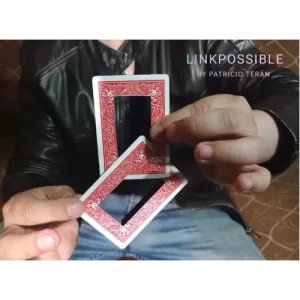 LINKPOSSIBLE by Patricio Teran