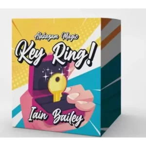 Key Ring By Iain Bailey