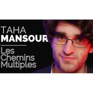 Les Chemins Multiples by Taha MANSOUR