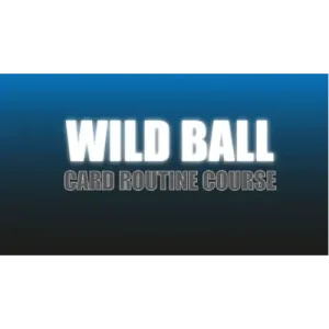 Craig Petty – Wild Ball