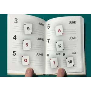 LS Diary by Leo Smetsers