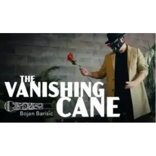 The Vanishing Cane by Bojan Barisic