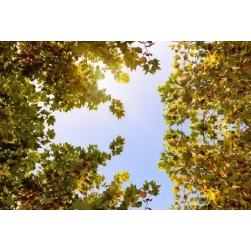 Dead Reckoning By Aldo Colombini