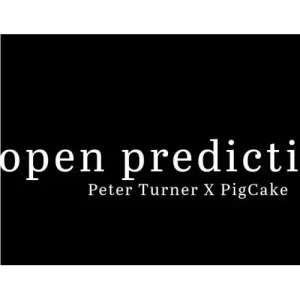 Open Predictions by Peter Turner