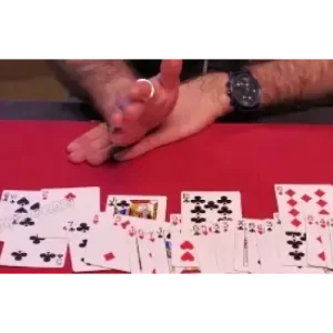 Taha MANSOUR – APAAP (French)