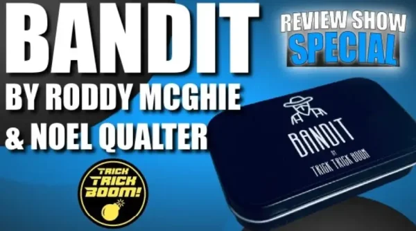 Bandit by Noel Qualter and Roddy McGhie