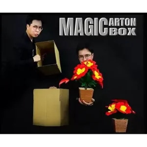 7 Magic – Amazing Carton