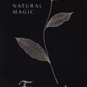Natural Magic Excerpt By Lewis Le Val