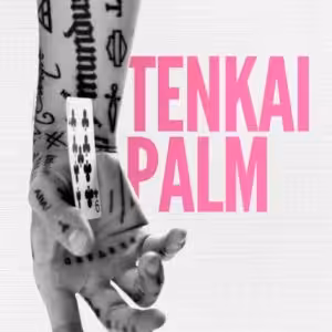 Daniel Madison – The TENKAI PALM Masterclass