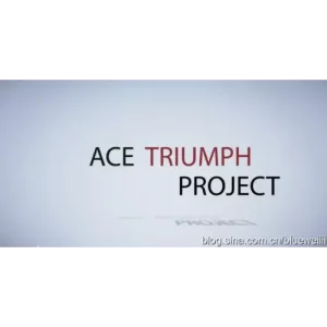 Ace Triumph by Denis Vasiliev