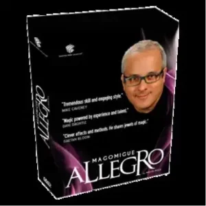 Allegro by Mago Migue And Luis De Matos