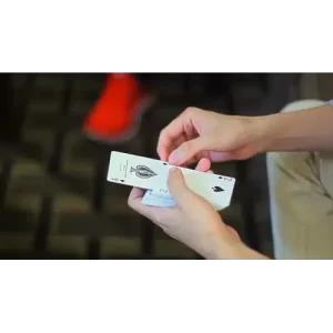 Alter by Kelvin Chow