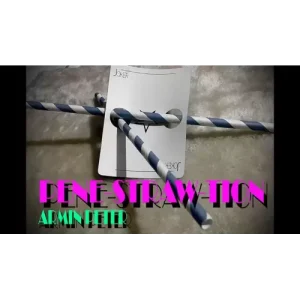 PenStrawtration By Armin Peter