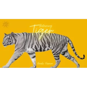 The Vault-Returning Tiger By Aurelio Ferreira