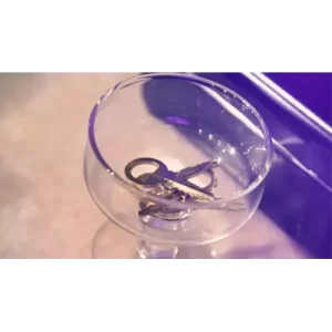 BDM Hands Off Safe Box-The Perfect Chest By Bazar de Magia