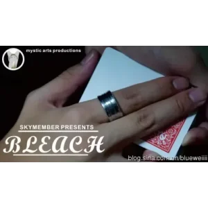 Bleach by Finix Chan