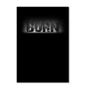 Burn by Daniel Madison