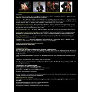 The Business by Martin Sanderson