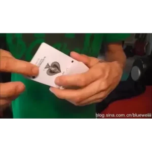 C-Force by Will Palmer