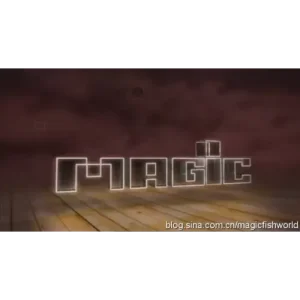 Complete Tv Series (1-6) by History Of Magic