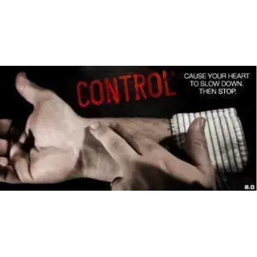 Control 2.0 by Wayne Houchin