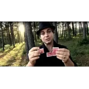 Counterfeit Hollingworth by Wayne Houchin