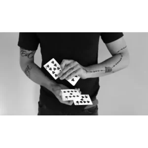 Counting Crows by Daniel Madison