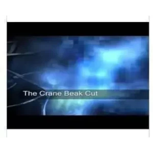 The Crane Beak Cut by Owen Packard