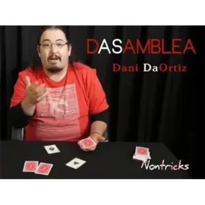 Dasamblea (Dassembly) by Dani Daortiz