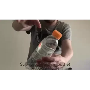 Submerged (coin in bottle) By David Noble