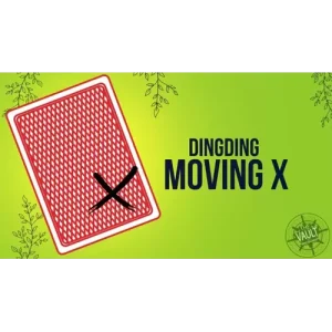 The Vault – Moving X By Ding Ding