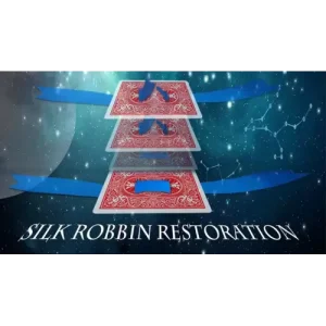 Silk Restoration By Dinging