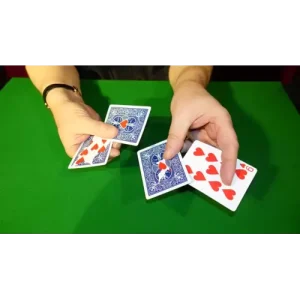 Reverse Card By Dominique Duvivier