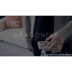 Dragon Fly by Peter Mckinnon