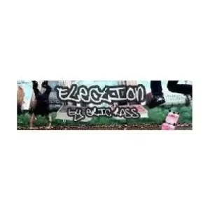 Election by Eric Ross