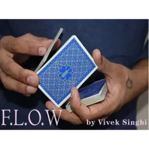 F.L.O.W by Vivek Singhi