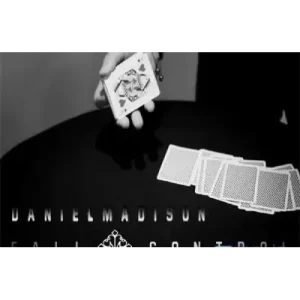 Fall Control by Daniel Madison