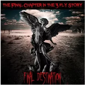 Final Destination by Matthew Wright