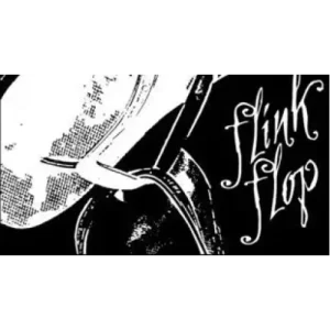 Flink Flop by Dan Hauss