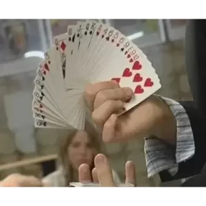 Flourish by Seth Engstrom