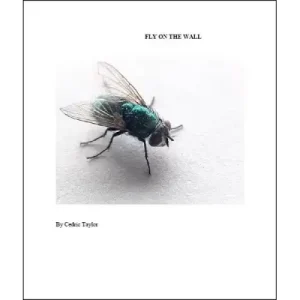 Fly On The Wall by Cedric Taylor