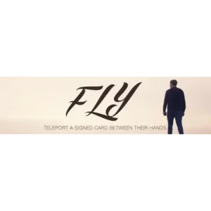 Fly by Geraint Clarke