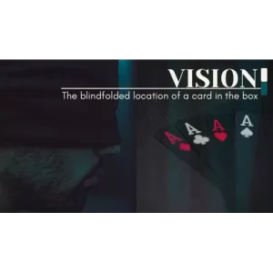 Vision By Francesco Ceriani