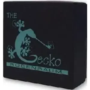 Gecko by Jim Rosenbaum