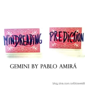 Gemini by Pablo Amira