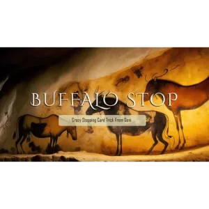 Buffalo Stop By Geni