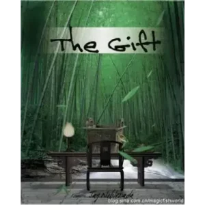 The Gift by Jay Noblezada